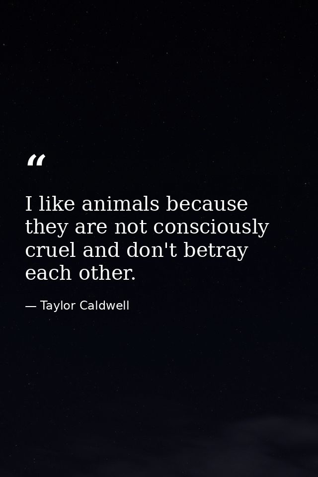 I like animals because they are not consciously cruel and don't betray each other. — Taylor Caldwell