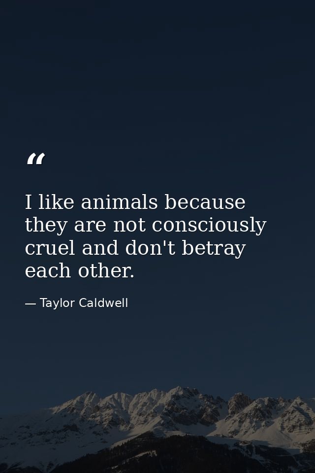 I like animals because they are not consciously cruel and don't betray each other. — Taylor Caldwell