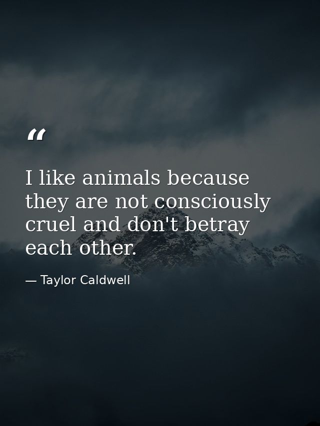 I like animals because they are not consciously cruel and don't betray each other. — Taylor Caldwell
