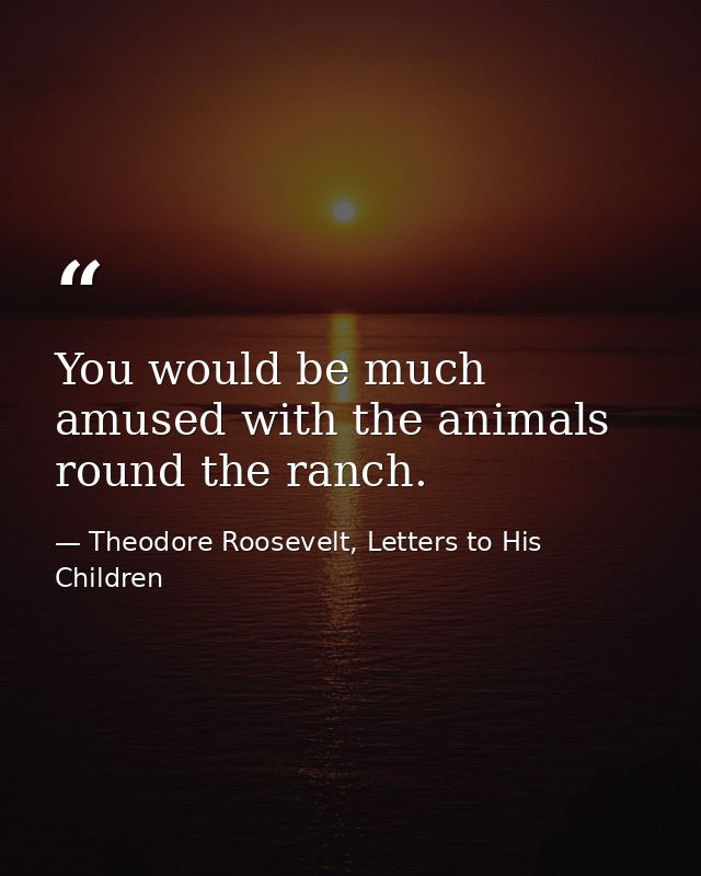 You would be much amused with the animals round the ranch. — Theodore Roosevelt, Letters to His Children
