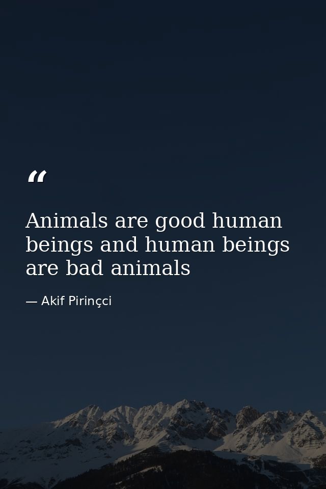 Animals are good human beings and human beings are bad animals — Akif Pirinçci