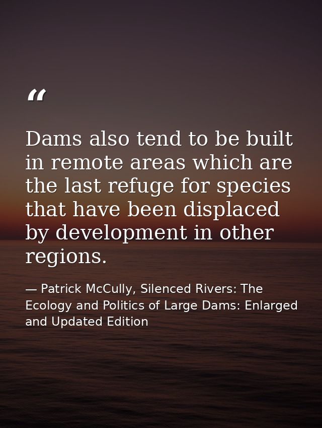 Dams also tend to be built in remote areas which are the last refuge for species that have been displaced by development — Patrick McCully, Silenced Rivers: The Ecology and Politics of Large Dams: Enlarged and Updated Edition
