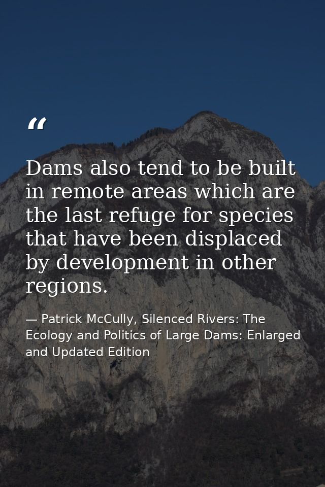 Dams also tend to be built in remote areas which are the last refuge for species that have been displaced by development — Patrick McCully, Silenced Rivers: The Ecology and Politics of Large Dams: Enlarged and Updated Edition