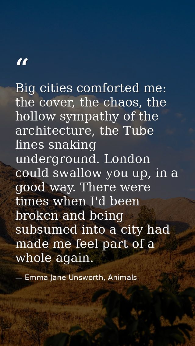 Big cities comforted me: the cover, the chaos, the hollow sympathy of the architecture, the Tube lines snaking undergrou — Emma Jane Unsworth, Animals