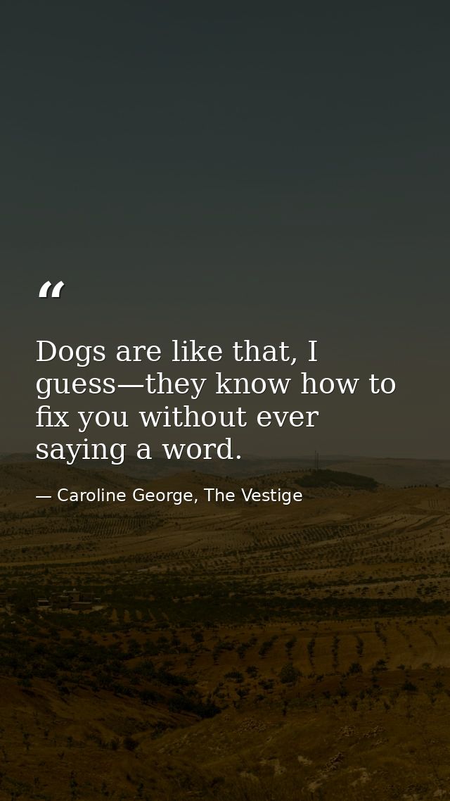 Dogs are like that, I guess—they know how to fix you without ever saying a word. — Caroline George, The Vestige