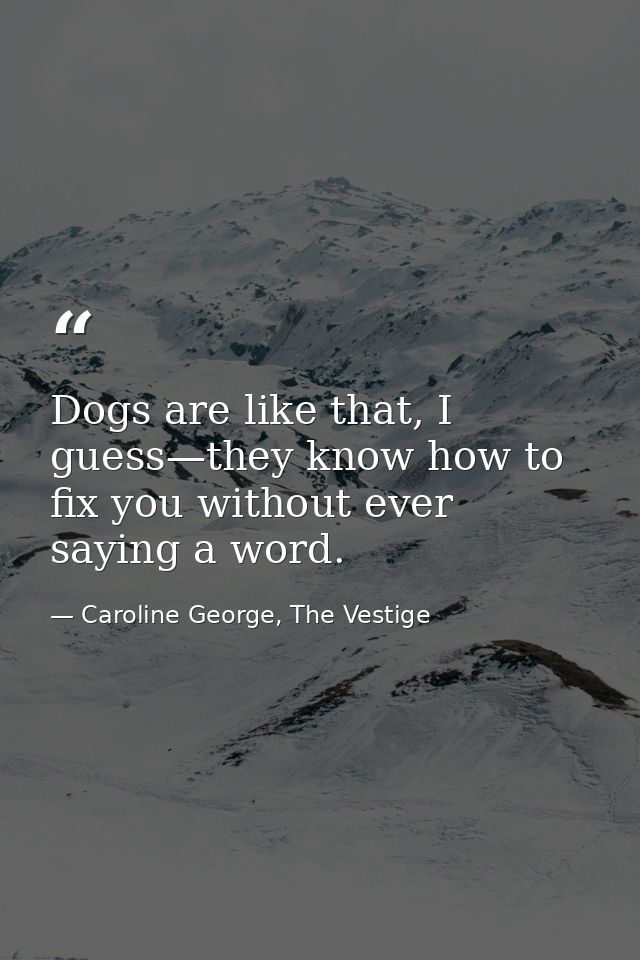 Dogs are like that, I guess—they know how to fix you without ever saying a word. — Caroline George, The Vestige