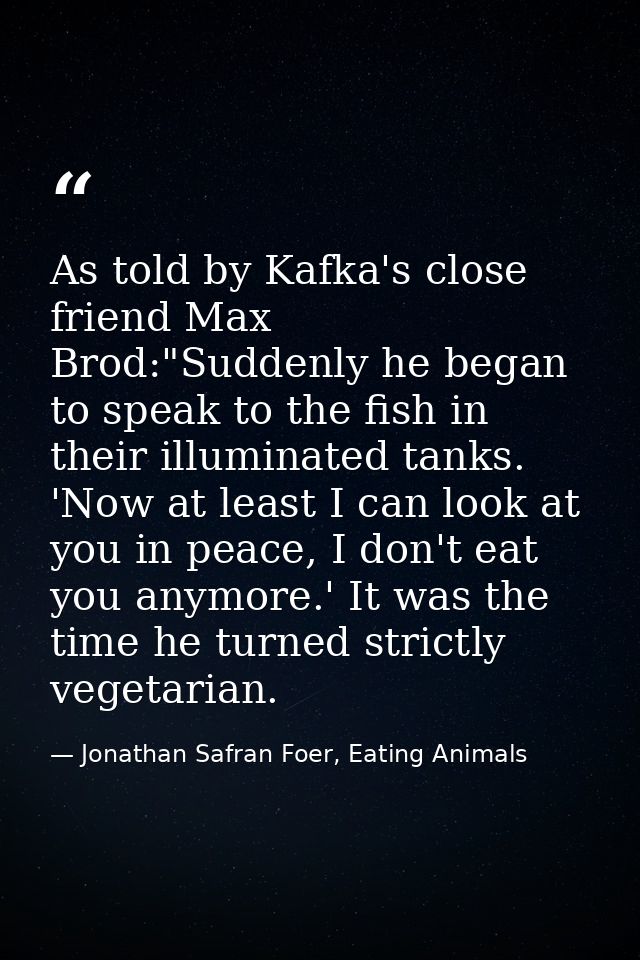 As told by Kafka's close friend Max Brod:"Suddenly he began to speak to the fish in their illuminated tanks. 'Now at lea — Jonathan Safran Foer, Eating Animals