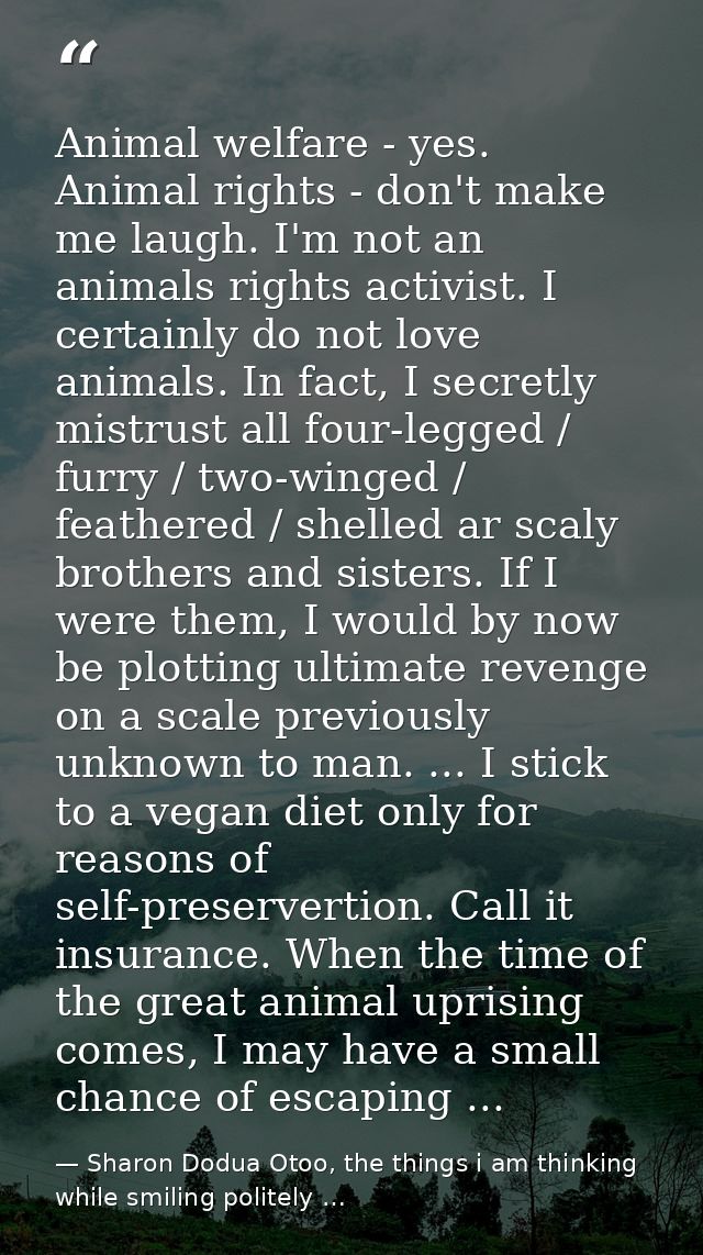 Animal welfare - yes. Animal rights - don't make me laugh. I'm not an animals rights activist. I certainly do not love a — Sharon Dodua Otoo, the things i am thinking while smiling politely …