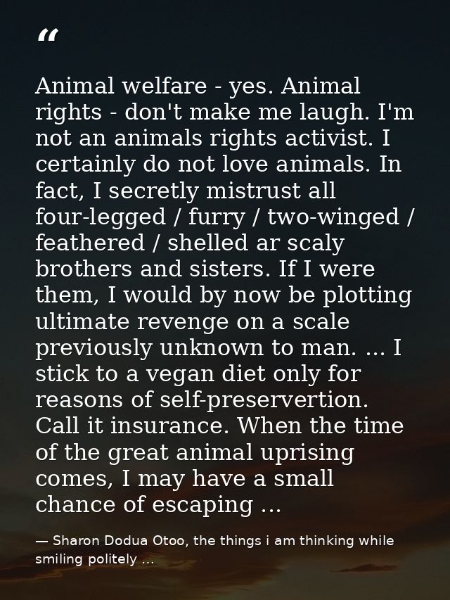 Animal welfare - yes. Animal rights - don't make me laugh. I'm not an animals rights activist. I certainly do not love a — Sharon Dodua Otoo, the things i am thinking while smiling politely …