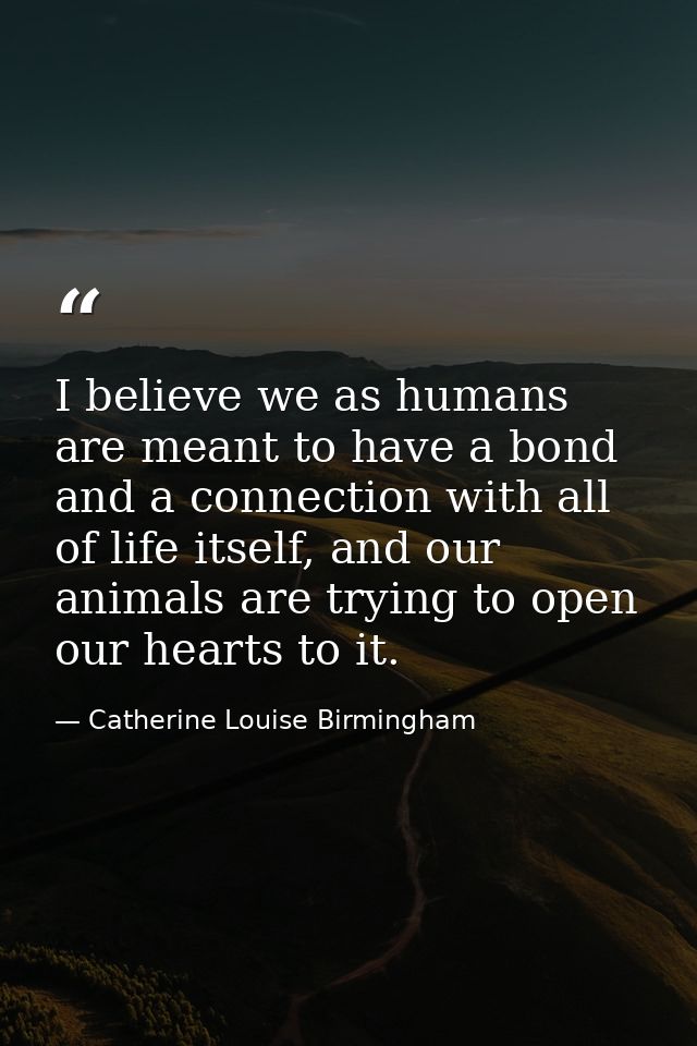 I believe we as humans are meant to have a bond and a connection with all of life itself, and our animals are trying to  — Catherine Louise Birmingham
