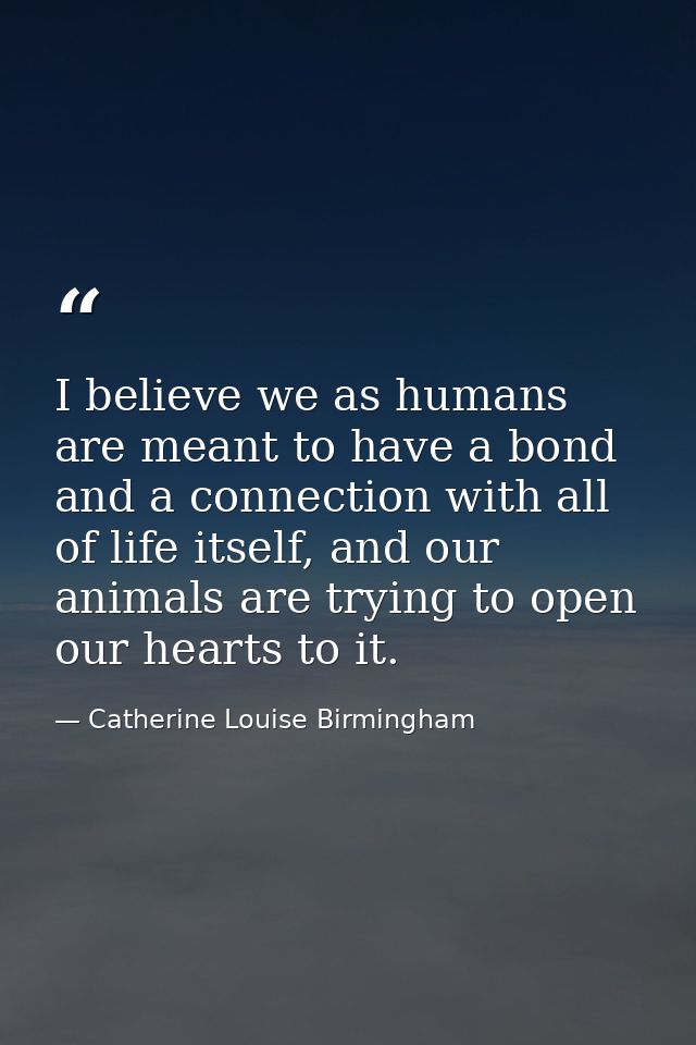 I believe we as humans are meant to have a bond and a connection with all of life itself, and our animals are trying to  — Catherine Louise Birmingham
