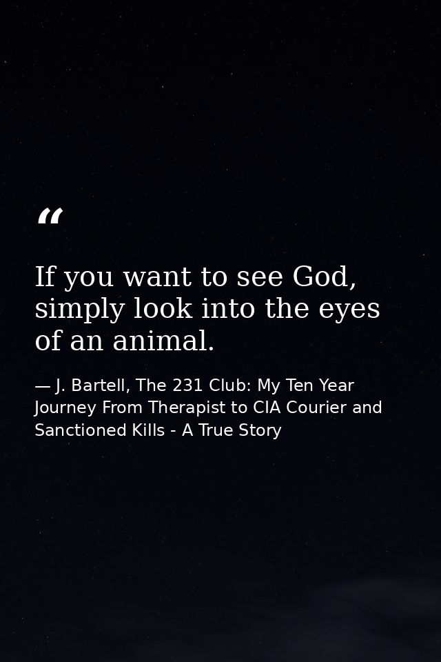 If you want to see God, simply look into the eyes of an animal. — J. Bartell, The 231 Club: My Ten Year Journey From Therapist to CIA Courier and Sanctioned Kills - A True Story