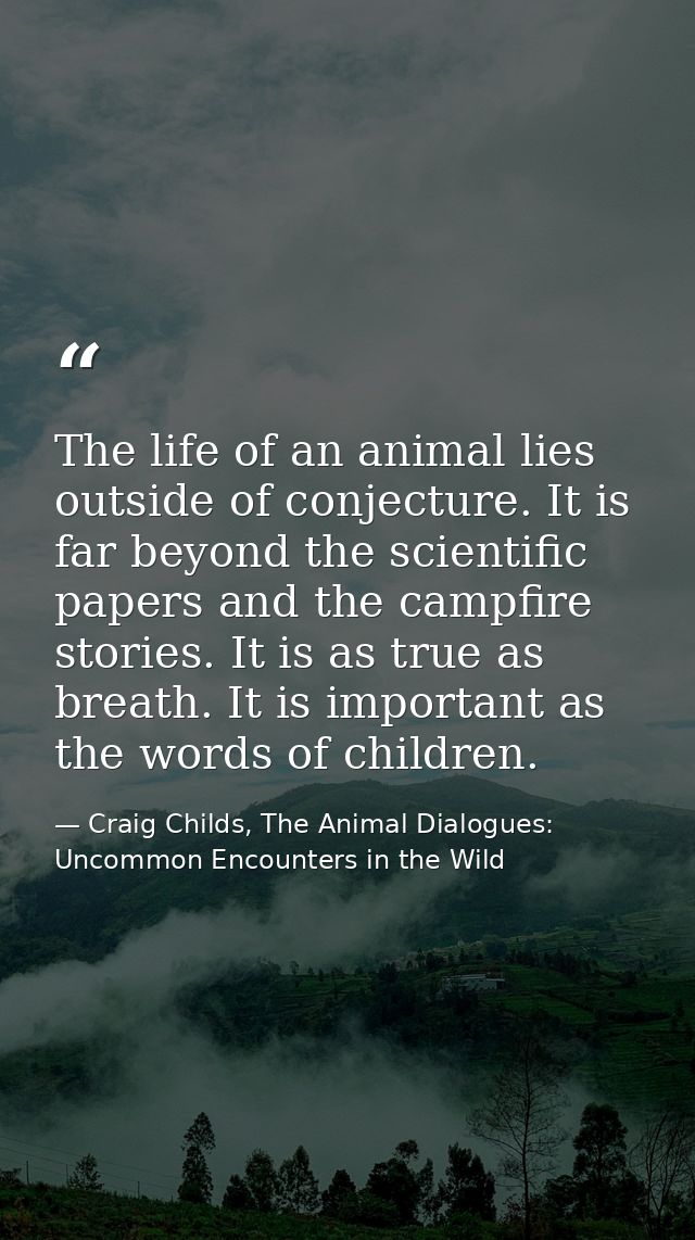 The life of an animal lies outside of conjecture. It is far beyond the scientific papers and the campfire stories. It is — Craig Childs, The Animal Dialogues: Uncommon Encounters in the Wild