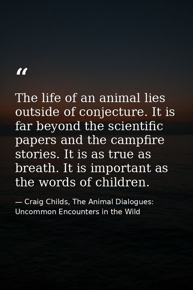 The life of an animal lies outside of conjecture. It is far beyond the scientific papers and the campfire stories. It is — Craig Childs, The Animal Dialogues: Uncommon Encounters in the Wild