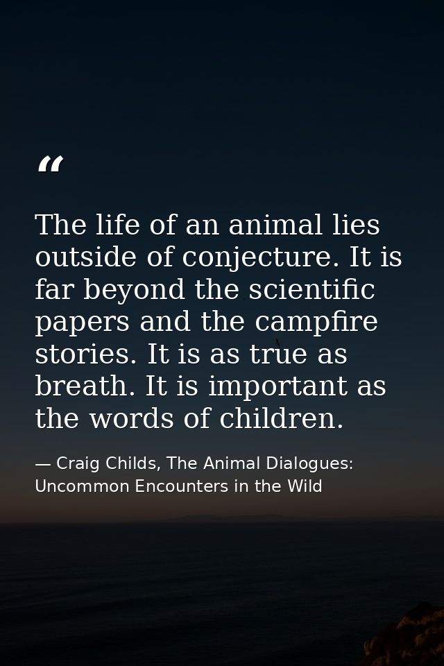 The life of an animal lies outside of conjecture. It is far beyond the scientific papers and the campfire stories. It is — Craig Childs, The Animal Dialogues: Uncommon Encounters in the Wild