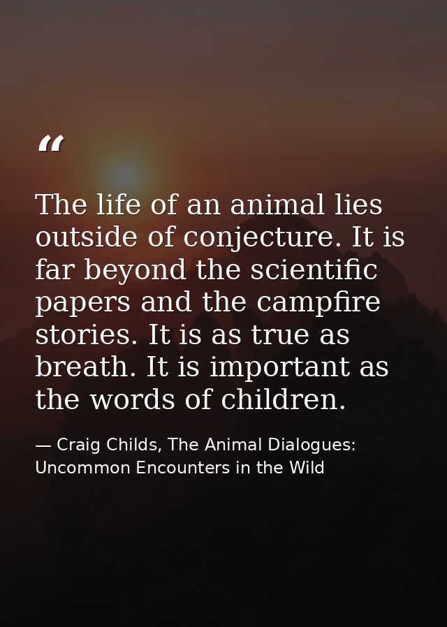 The life of an animal lies outside of conjecture. It is far beyond the scientific papers and the campfire stories. It is — Craig Childs, The Animal Dialogues: Uncommon Encounters in the Wild