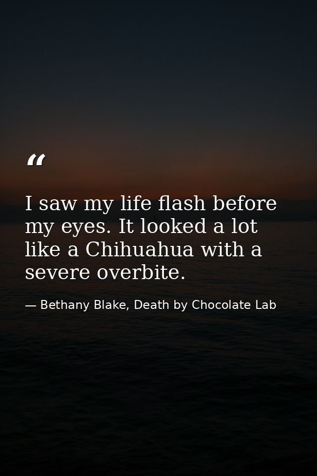 I saw my life flash before my eyes. It looked a lot like a Chihuahua with a severe overbite. — Bethany Blake, Death by Chocolate Lab