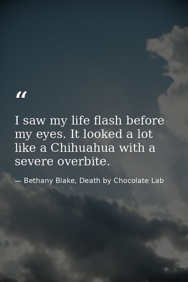 I saw my life flash before my eyes. It looked a lot like a Chihuahua with a severe overbite. — Bethany Blake, Death by Chocolate Lab