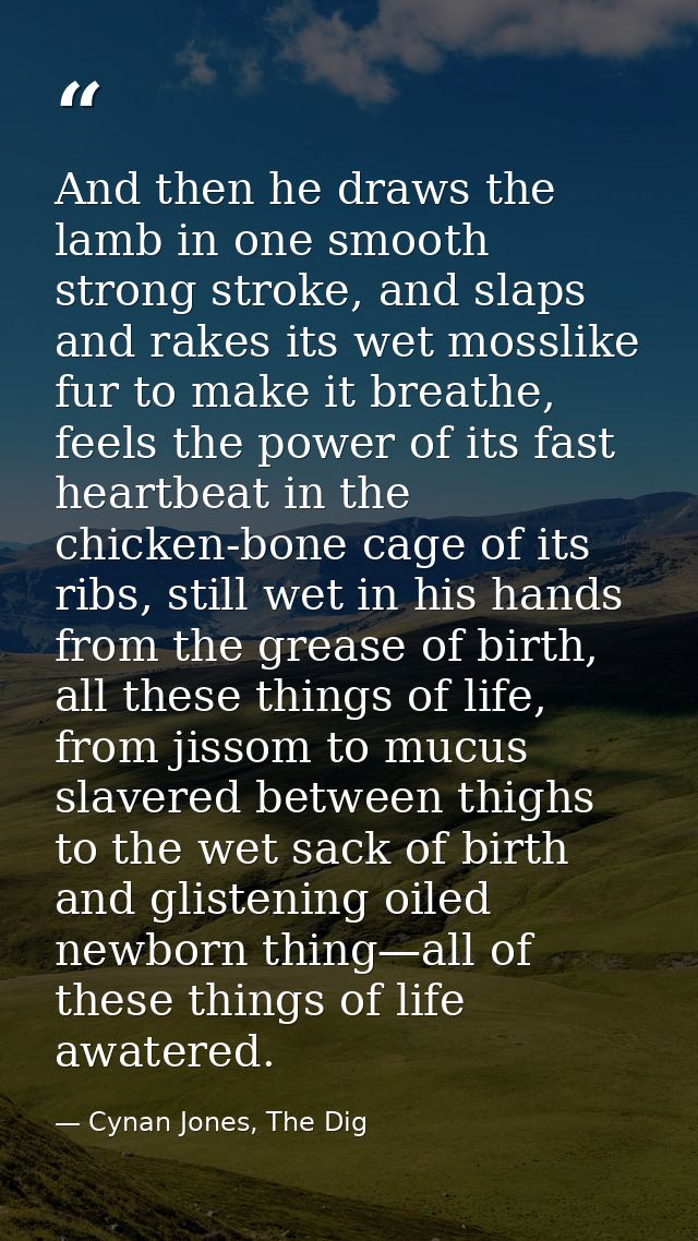 And then he draws the lamb in one smooth strong stroke, and slaps and rakes its wet mosslike fur to make it breathe, fee — Cynan Jones, The Dig