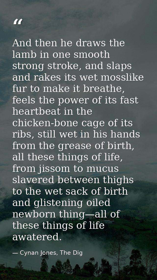 And then he draws the lamb in one smooth strong stroke, and slaps and rakes its wet mosslike fur to make it breathe, fee — Cynan Jones, The Dig