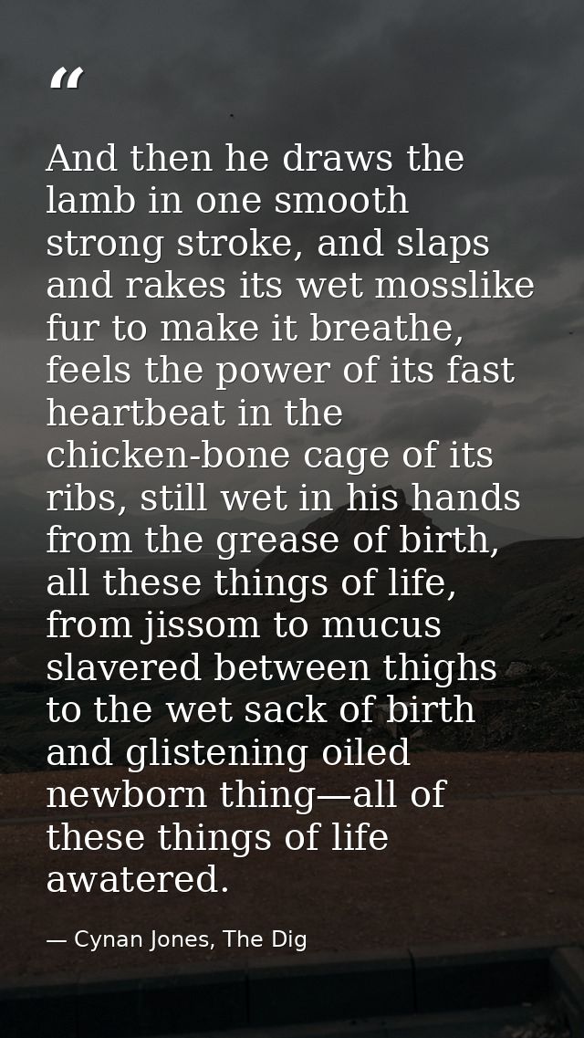 And then he draws the lamb in one smooth strong stroke, and slaps and rakes its wet mosslike fur to make it breathe, fee — Cynan Jones, The Dig