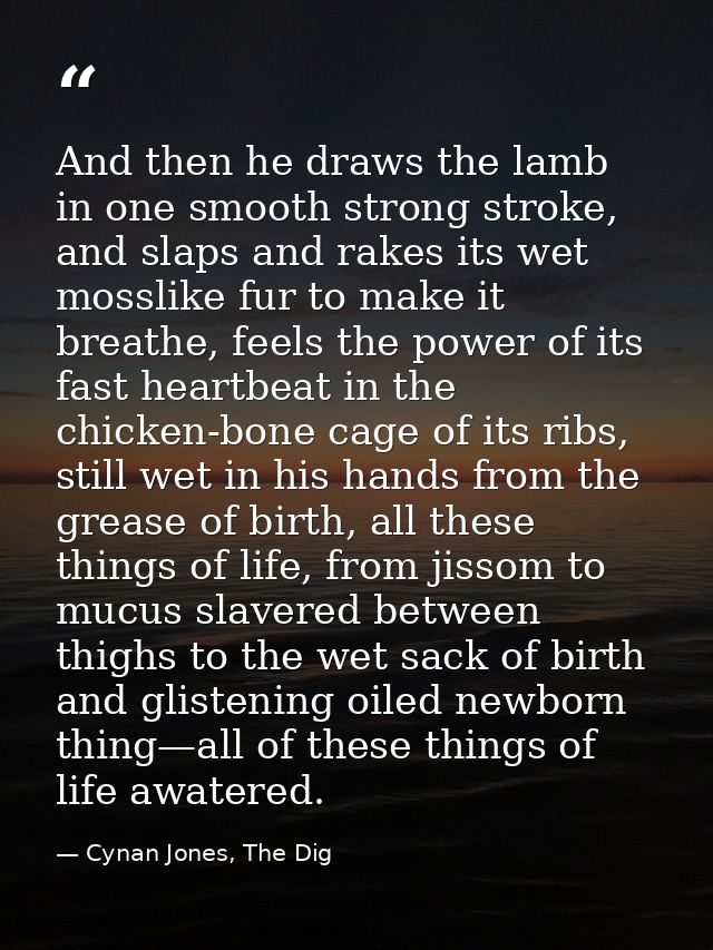 And then he draws the lamb in one smooth strong stroke, and slaps and rakes its wet mosslike fur to make it breathe, fee — Cynan Jones, The Dig