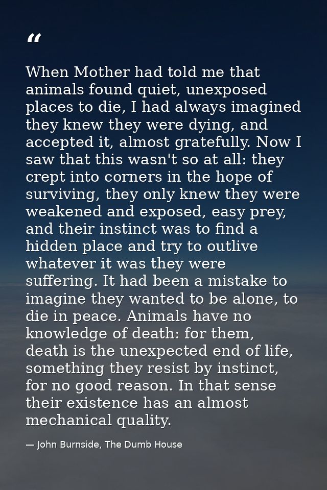 When Mother had told me that animals found quiet, unexposed places to die, I had always imagined they knew they were dyi — John Burnside, The Dumb House