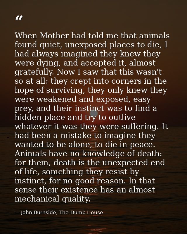 When Mother had told me that animals found quiet, unexposed places to die, I had always imagined they knew they were dyi — John Burnside, The Dumb House
