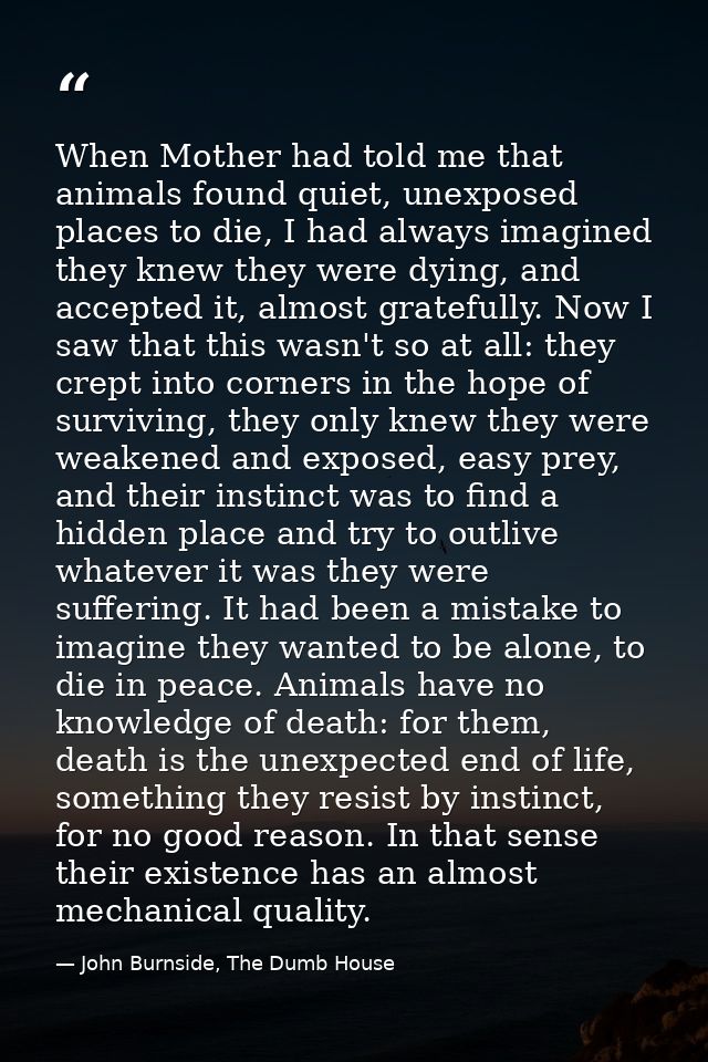 When Mother had told me that animals found quiet, unexposed places to die, I had always imagined they knew they were dyi — John Burnside, The Dumb House