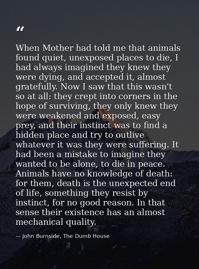 When Mother had told me that animals found quiet, unexposed places to die, I had always imagined they knew they were dyi — John Burnside, The Dumb House