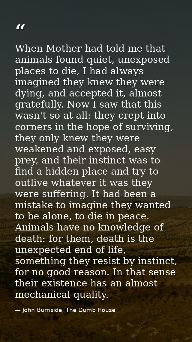 When Mother had told me that animals found quiet, unexposed places to die, I had always imagined they knew they were dyi — John Burnside, The Dumb House