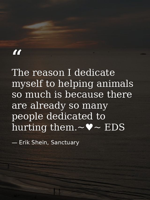The reason I dedicate myself to helping animals so much is because there are already so many people dedicated to hurting — Erik Shein, Sanctuary