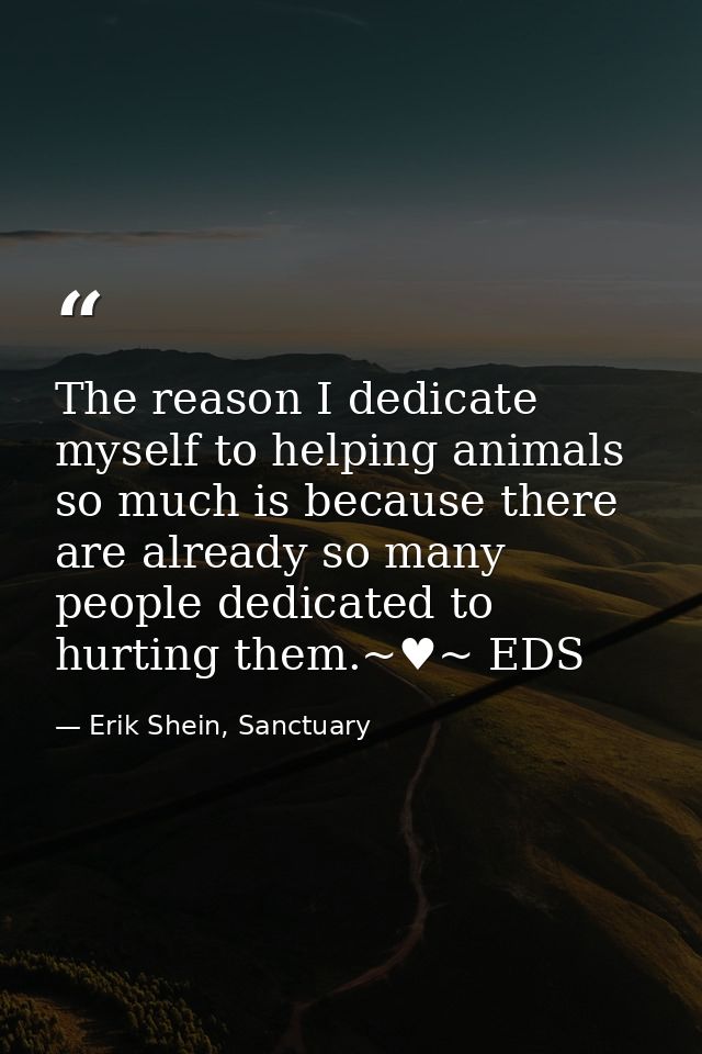 The reason I dedicate myself to helping animals so much is because there are already so many people dedicated to hurting — Erik Shein, Sanctuary