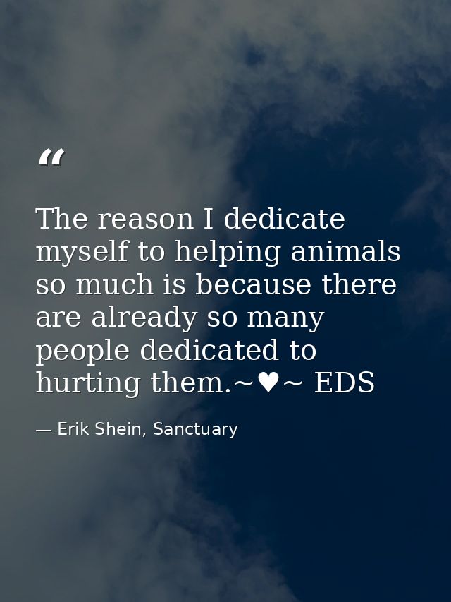 The reason I dedicate myself to helping animals so much is because there are already so many people dedicated to hurting — Erik Shein, Sanctuary