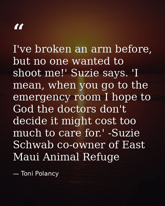 I've broken an arm before, but no one wanted to shoot me!' Suzie says. 'I mean, when you go to the emergency room I hope — Toni Polancy