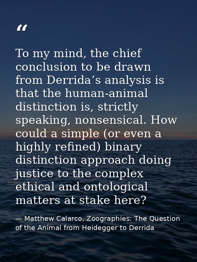 To my mind, the chief conclusion to be drawn from Derrida’s analysis is that the human-animal distinction is, strictly s — Matthew Calarco, Zoographies: The Question of the Animal from Heidegger to Derrida