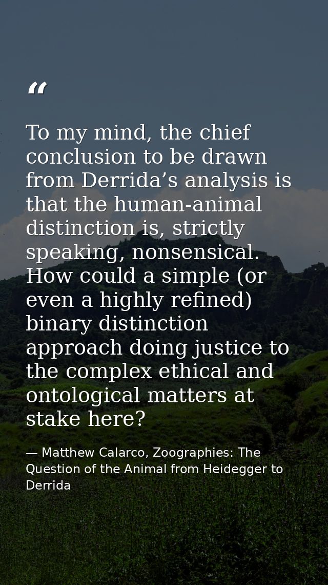 To my mind, the chief conclusion to be drawn from Derrida’s analysis is that the human-animal distinction is, strictly s — Matthew Calarco, Zoographies: The Question of the Animal from Heidegger to Derrida