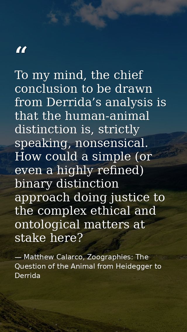To my mind, the chief conclusion to be drawn from Derrida’s analysis is that the human-animal distinction is, strictly s — Matthew Calarco, Zoographies: The Question of the Animal from Heidegger to Derrida