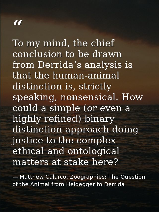 To my mind, the chief conclusion to be drawn from Derrida’s analysis is that the human-animal distinction is, strictly s — Matthew Calarco, Zoographies: The Question of the Animal from Heidegger to Derrida