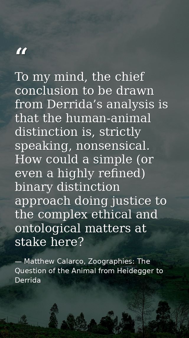To my mind, the chief conclusion to be drawn from Derrida’s analysis is that the human-animal distinction is, strictly s — Matthew Calarco, Zoographies: The Question of the Animal from Heidegger to Derrida
