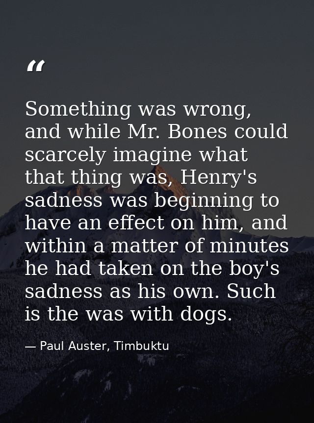 Something was wrong, and while Mr. Bones could scarcely imagine what that thing was, Henry's sadness was beginning to ha — Paul Auster, Timbuktu