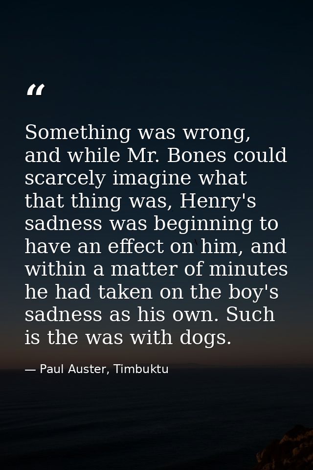 Something was wrong, and while Mr. Bones could scarcely imagine what that thing was, Henry's sadness was beginning to ha — Paul Auster, Timbuktu