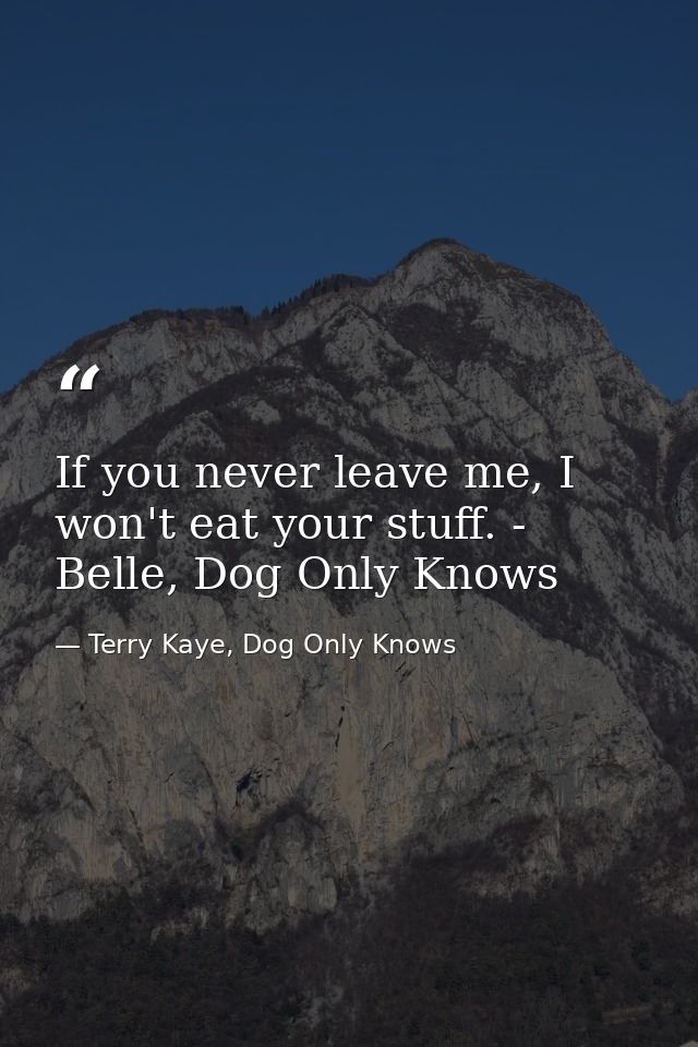 If you never leave me, I won't eat your stuff. - Belle, Dog Only Knows — Terry Kaye, Dog Only Knows