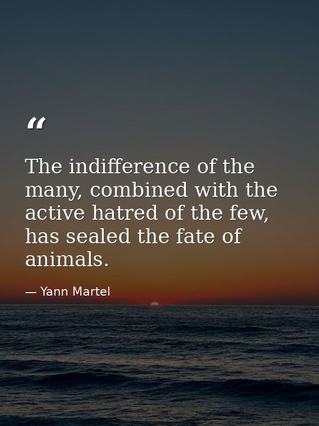 The indifference of the many, combined with the active hatred of the few, has sealed the fate of animals. — Yann Martel