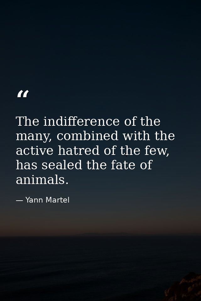 The indifference of the many, combined with the active hatred of the few, has sealed the fate of animals. — Yann Martel