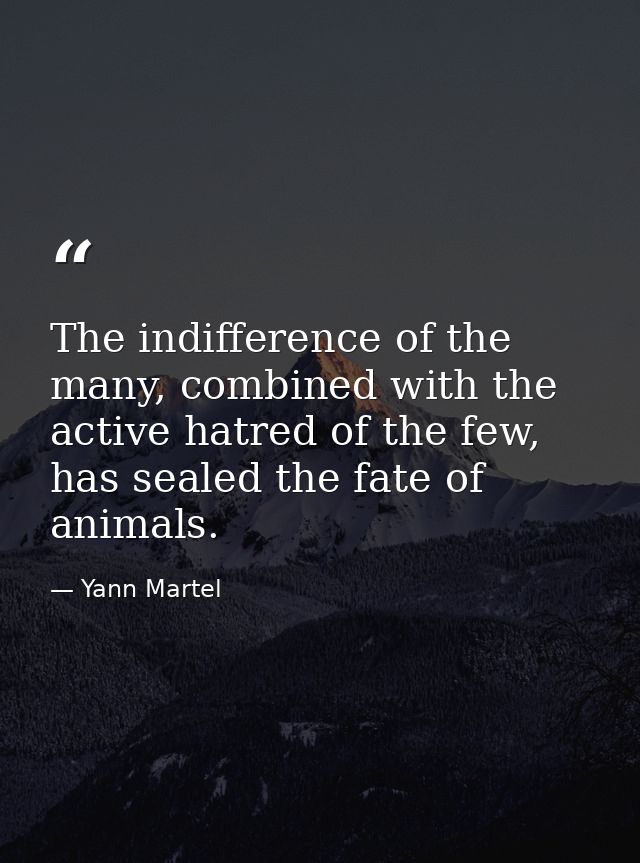 The indifference of the many, combined with the active hatred of the few, has sealed the fate of animals. — Yann Martel
