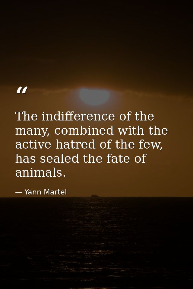 The indifference of the many, combined with the active hatred of the few, has sealed the fate of animals. — Yann Martel