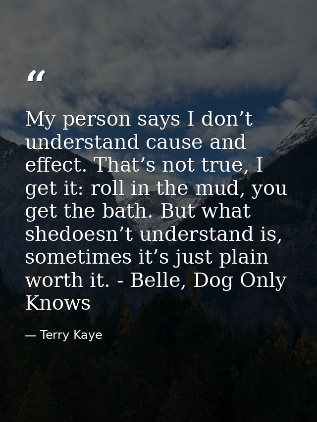 My person says I don’t understand cause and effect. That’s not true, I get it: roll in the mud, you get the bath. But wh — Terry Kaye