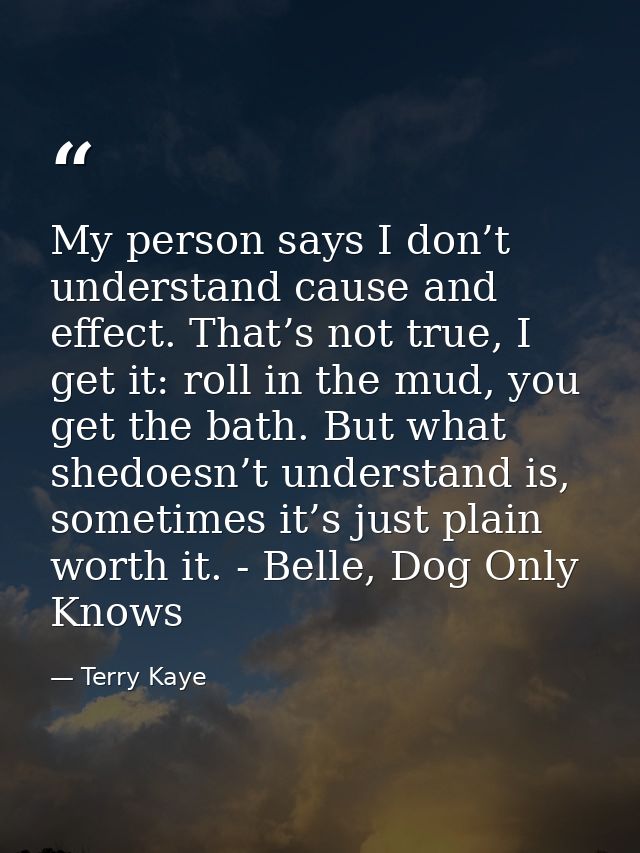 My person says I don’t understand cause and effect. That’s not true, I get it: roll in the mud, you get the bath. But wh — Terry Kaye