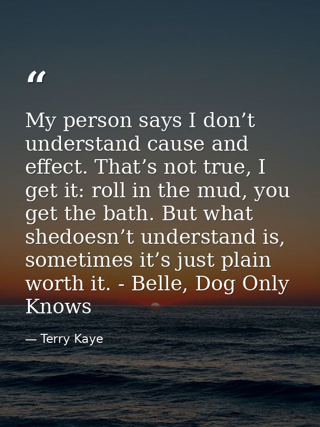 My person says I don’t understand cause and effect. That’s not true, I get it: roll in the mud, you get the bath. But wh — Terry Kaye